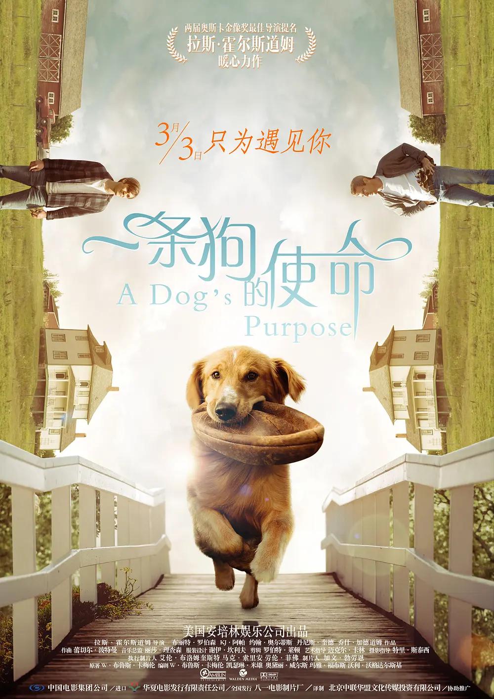 三级片下载(🕉)