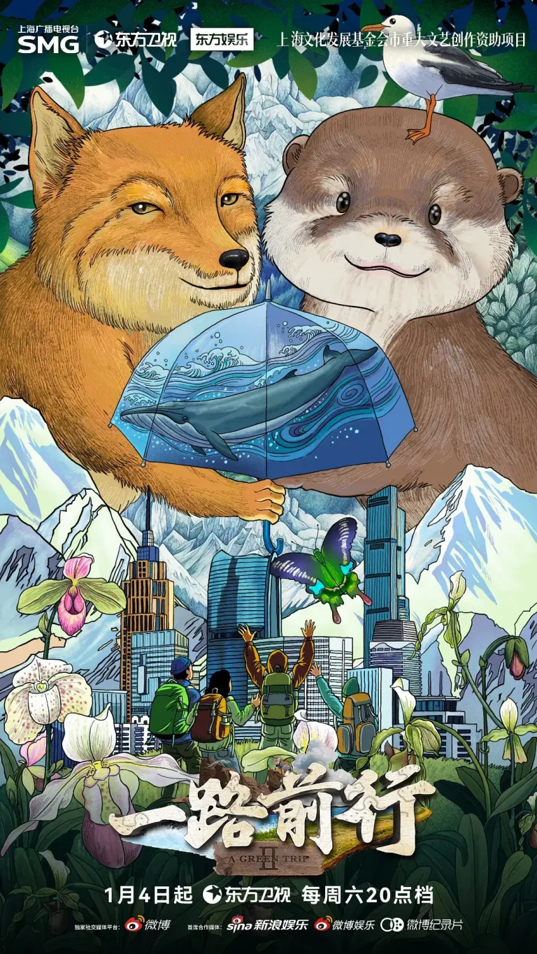 《一路前行第二季》全集高清完整版在线观看与剧情解析