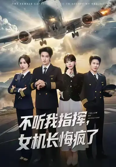 《不听我指挥,女机长悔疯了》深度内容解析