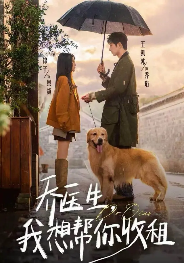 《乔医生,我想帮你收租》深度内容解析