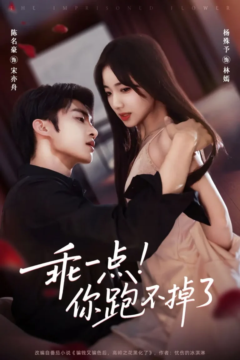 《乖一点！你跑不掉了》深度内容解析