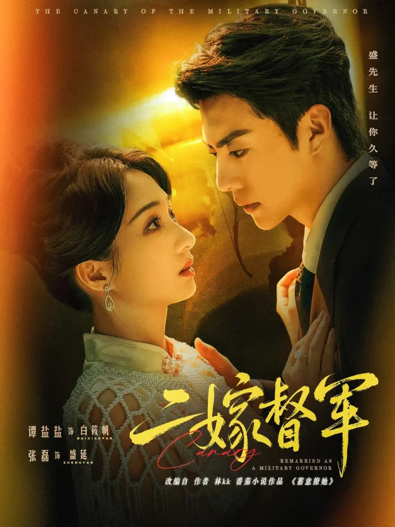 《二嫁督军》全集高清完整版在线观看与剧情解析