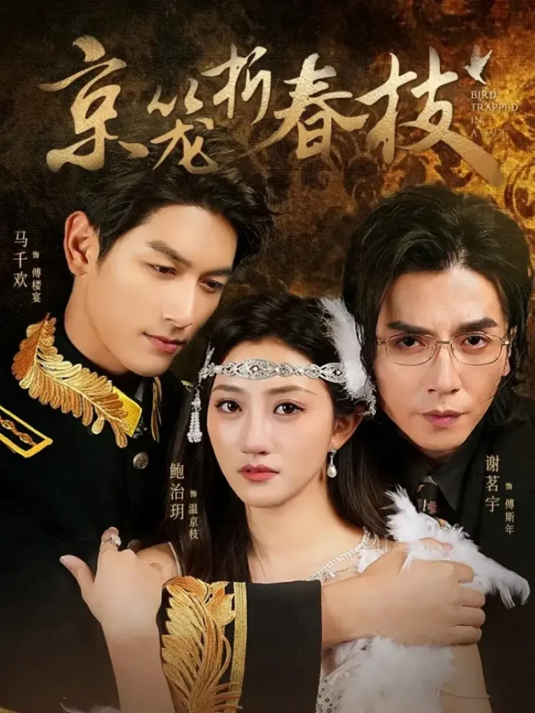 京笼折春枝 免费在线观看