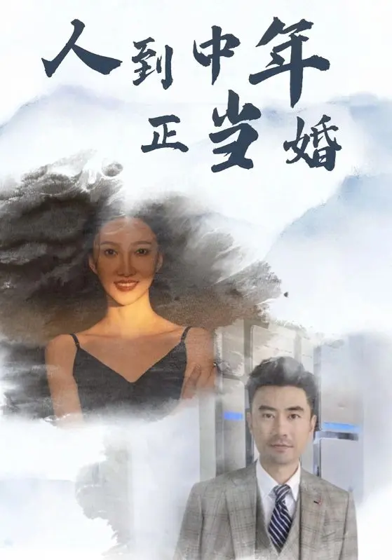 《人到中年正当婚》深度内容解析