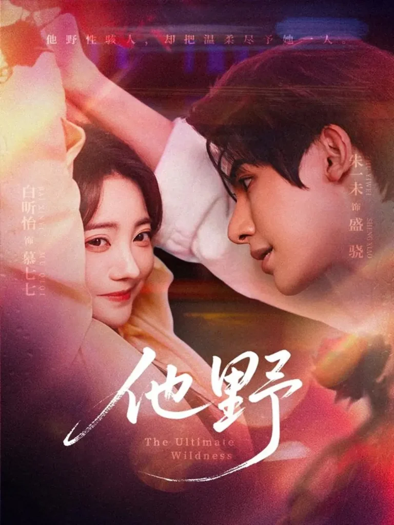 《他野》深度内容解析