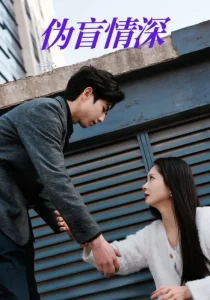 伪盲情深