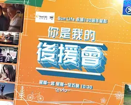 《你是我的后援会》全集高清完整版在线观看与剧情解析