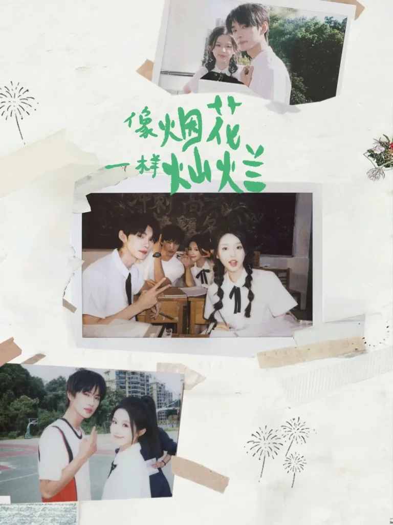 《像烟花一样灿烂》全集高清完整版在线观看与剧情解析