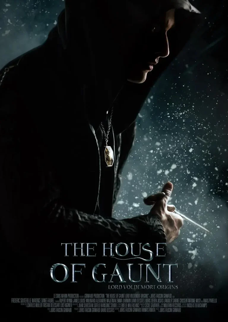 《冈特家族：伏地魔起源》全集高清完整版在线观看与剧情解析