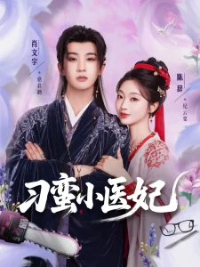 刁蛮小医妃