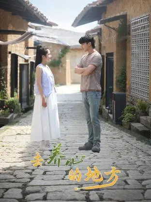 《去养心的地方》深度内容解析