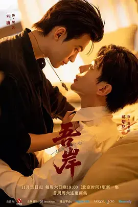 《吾岸》深度内容解析