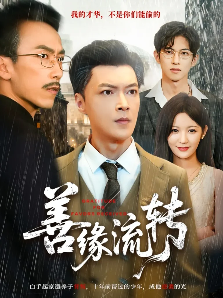 《善缘流转》深度内容解析