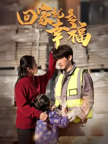 《回家就是幸福》深度内容解析