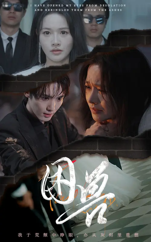 《困兽》全集高清完整版在线观看与剧情解析