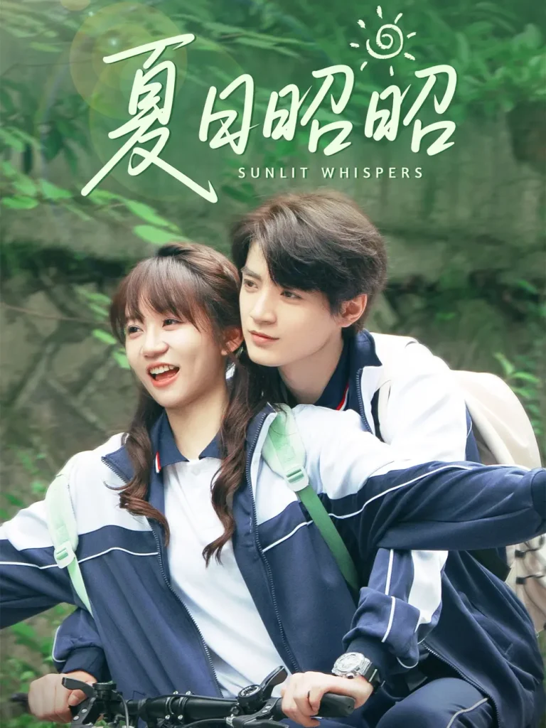 《夏日昭昭》深度内容解析