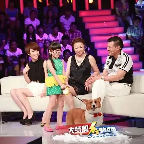 《大梦想秀》深度内容解析