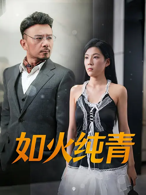《如火纯青》全集高清完整版在线观看与剧情解析