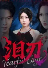 《娇藏》深度内容解析