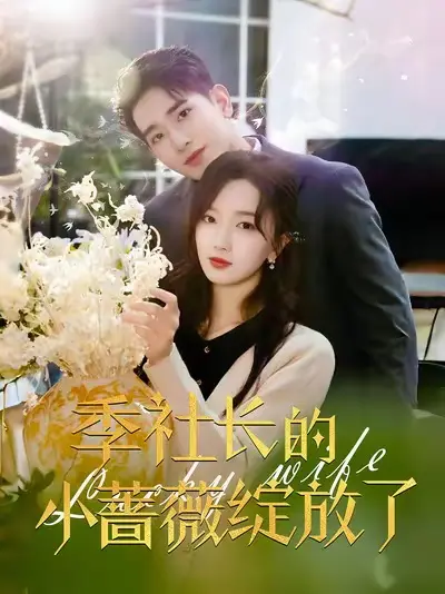 《季社长的小蔷薇绽放了》全集高清完整版在线观看与剧情解析