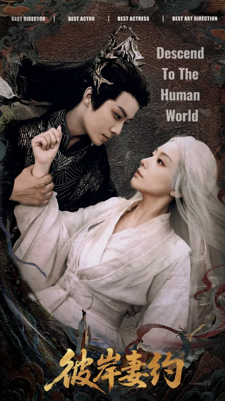 《彼岸妻约》深度内容解析