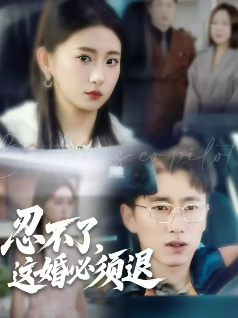 《忍不了,这婚必须退》全集高清完整版在线观看与剧情解析