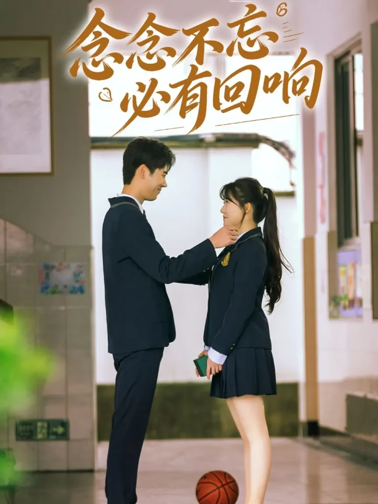 《念念不忘，必有回响》全集高清完整版在线观看与剧情解析