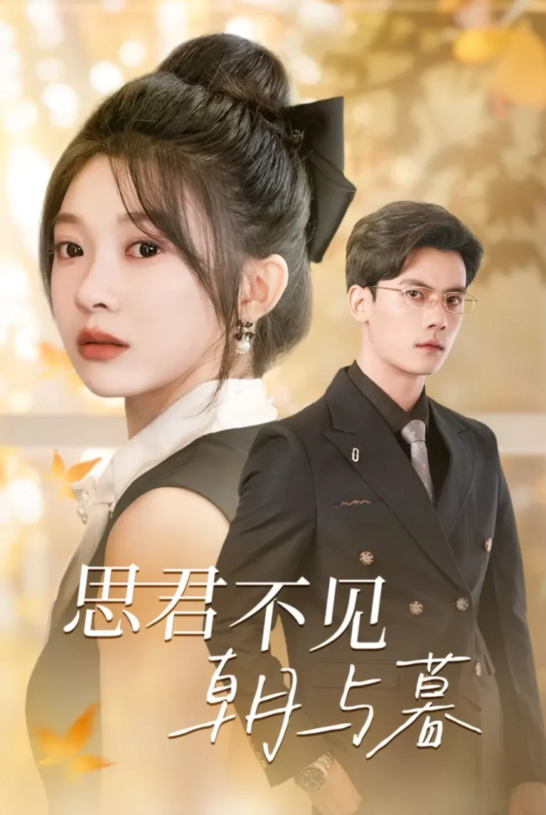 《思君不见朝与暮》深度内容解析