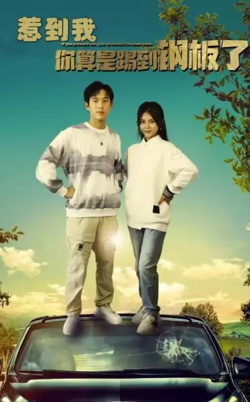 《惹到我你算是踢到钢板了》全集高清完整版在线观看与剧情解析