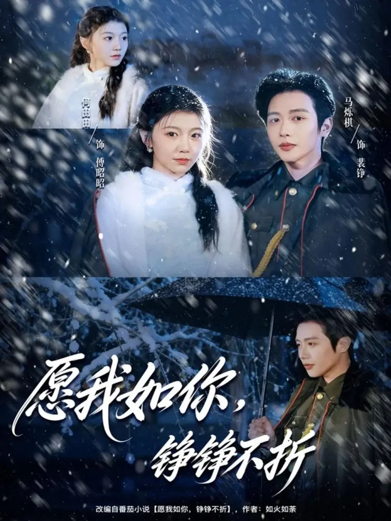 《愿我如你，铮铮不折》深度内容解析