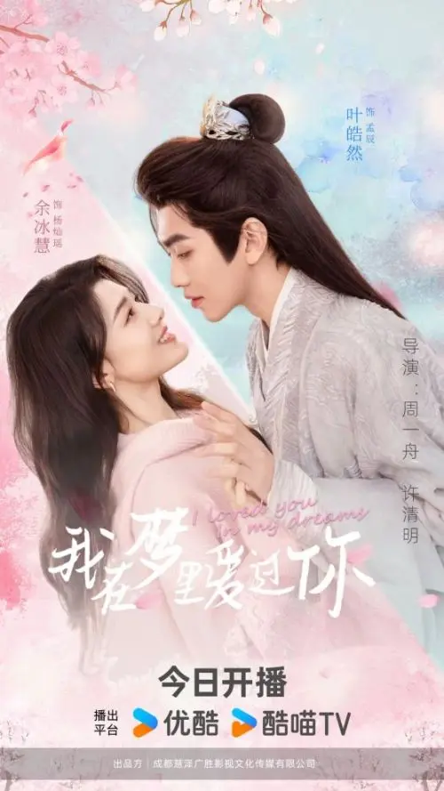 《我在梦里爱过你》深度内容解析