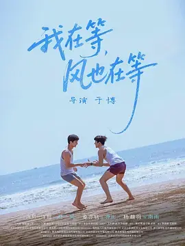 《我在等，风也在等》全集高清完整版在线观看与剧情解析