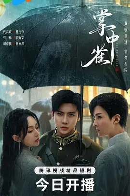 《掌中雀》深度内容解析