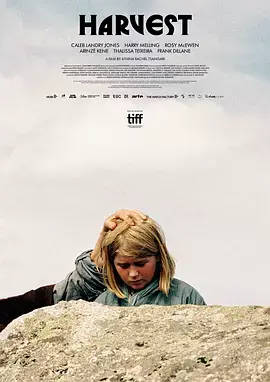 《收成2024》全集高清完整版在线观看与剧情解析