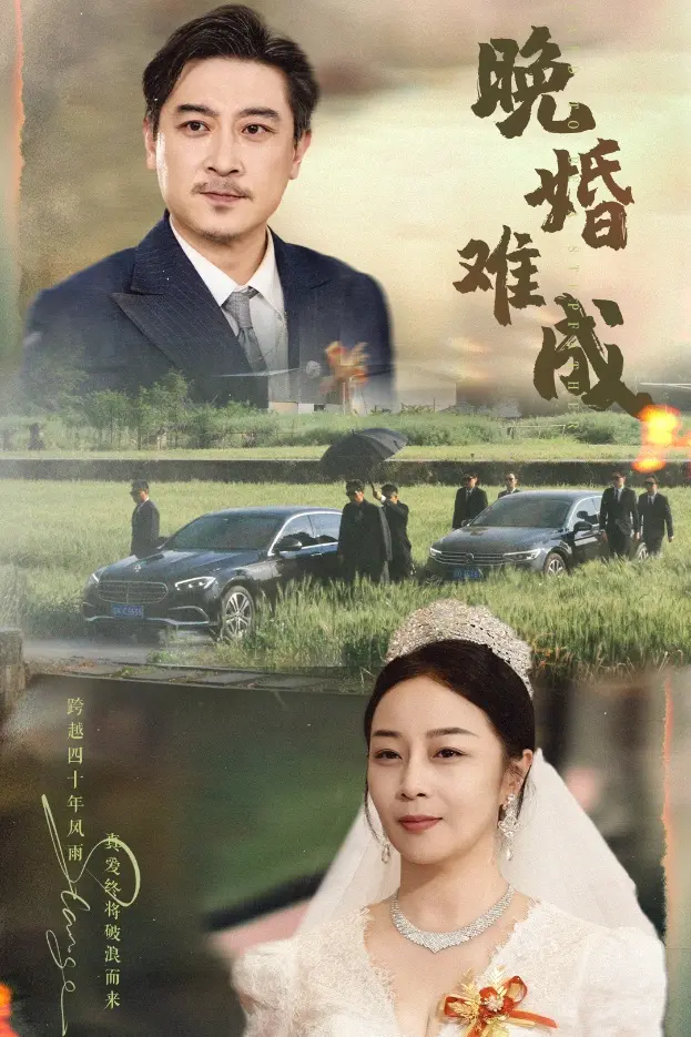 《晚婚难成》全集高清完整版在线观看与剧情解析