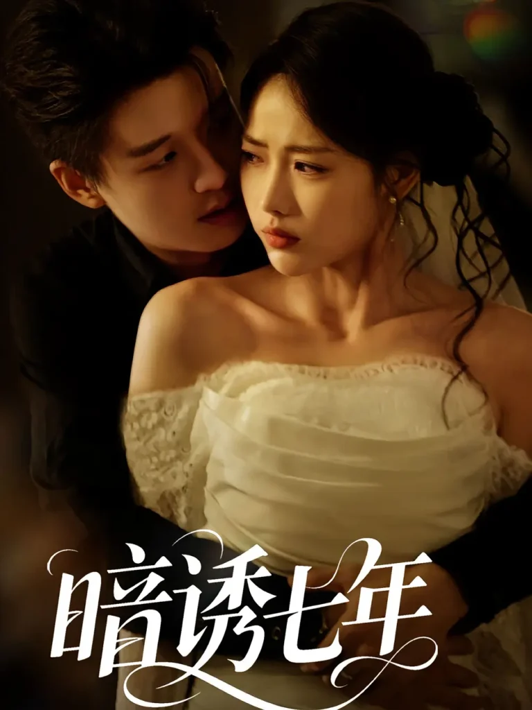 《暗诱七年》深度内容解析