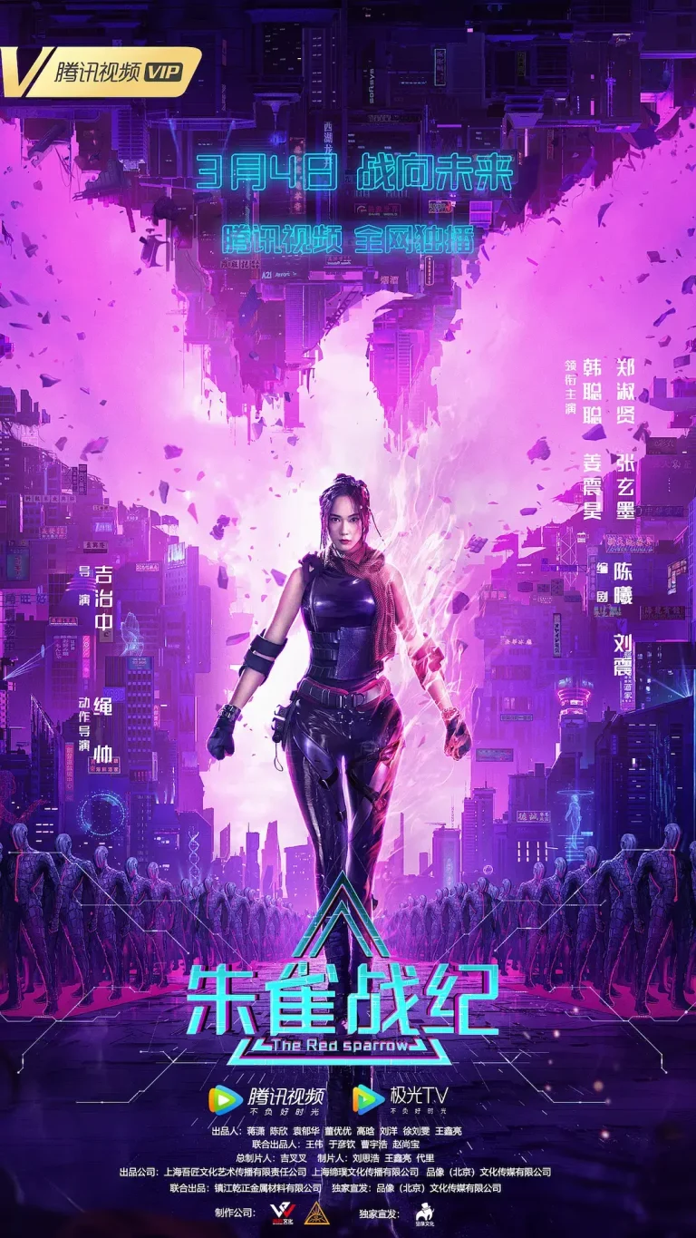 《朱雀战纪[电影解说]》深度内容解析