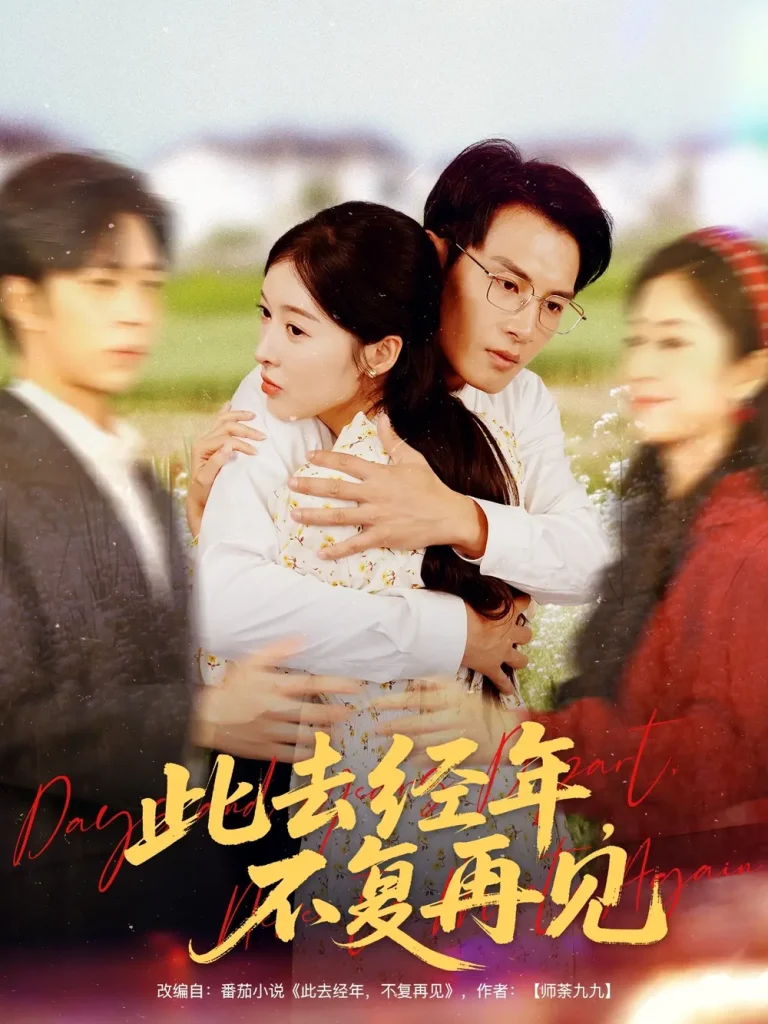 《此去经年不复再见》全集高清完整版在线观看与剧情解析