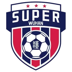 武汉城市足球超级联赛第3轮 蔡甸区2.1汉阳区20250829