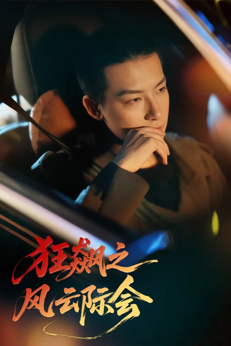 《狂飙之风云际会》全集高清完整版在线观看与剧情解析