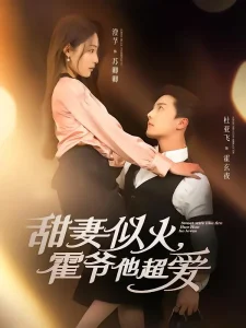 甜妻似火霍爷他超爱