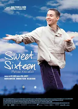 《甜蜜十六岁2002》全集高清完整版在线观看与剧情解析