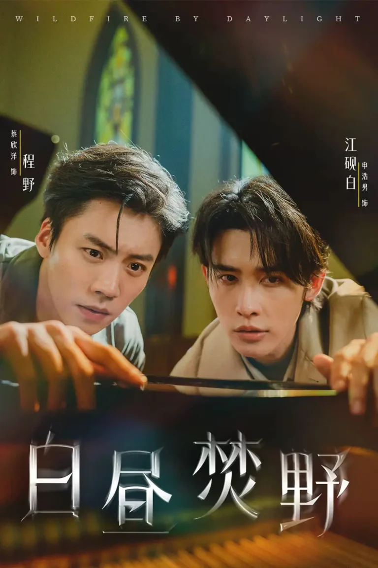 《白昼焚野》全集高清完整版在线观看与剧情解析