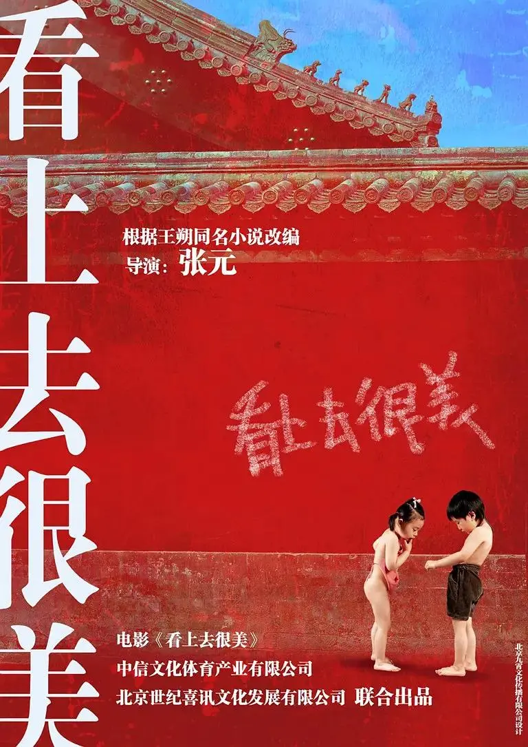 《看上去很美》全集高清完整版在线观看与剧情解析