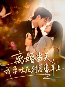 离婚当天,我孕吐在封总豪车上