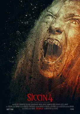 《西辛4[电影解说]》全集高清完整版在线观看与剧情解析