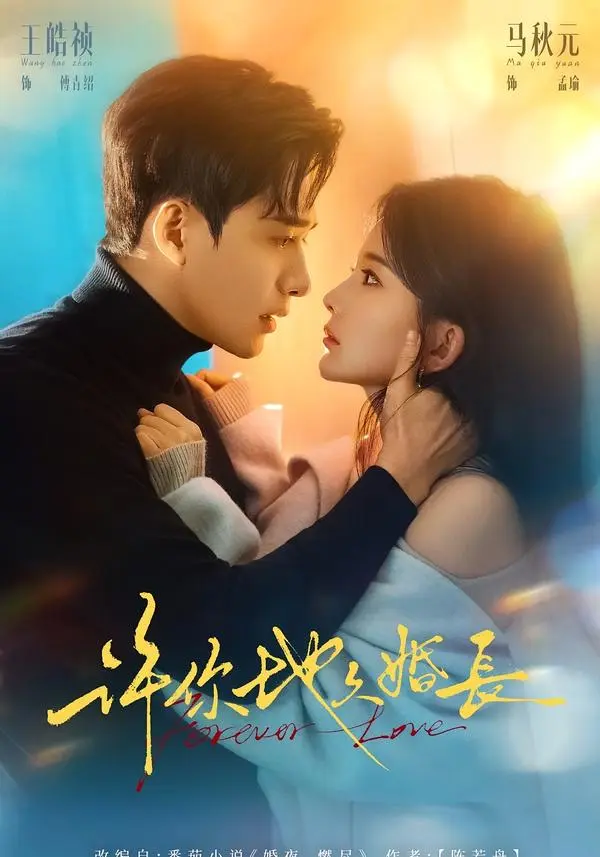 《许你地久婚长》全集高清完整版在线观看与剧情解析