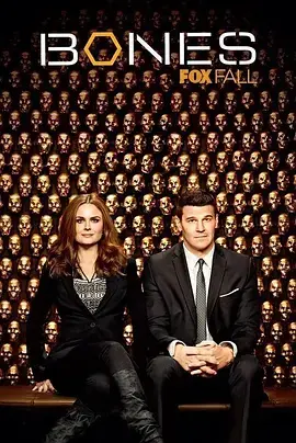 《识骨寻踪第九季》全集高清完整版在线观看与剧情解析