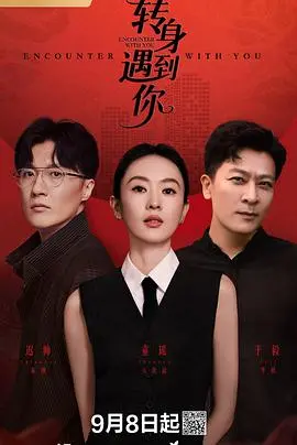 《转身遇到你》全集高清完整版在线观看与剧情解析