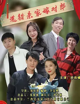 《选错亲家嫁对郎》全集高清完整版在线观看与剧情解析